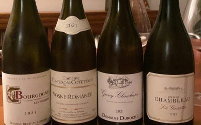 Ganztrauben im Pinot Noir